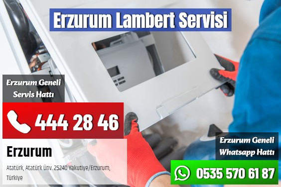 Erzurum Lambert Servisi