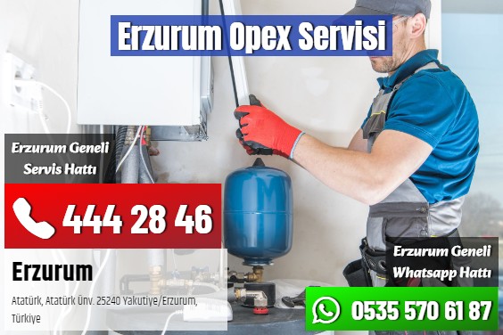 Erzurum Opex Servisi