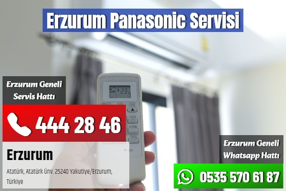 Erzurum Panasonic Servisi