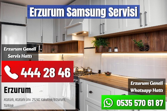 Erzurum Samsung Servisi