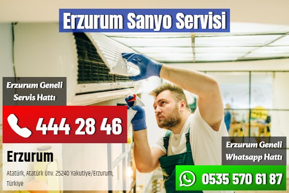 Erzurum Sanyo Servisi