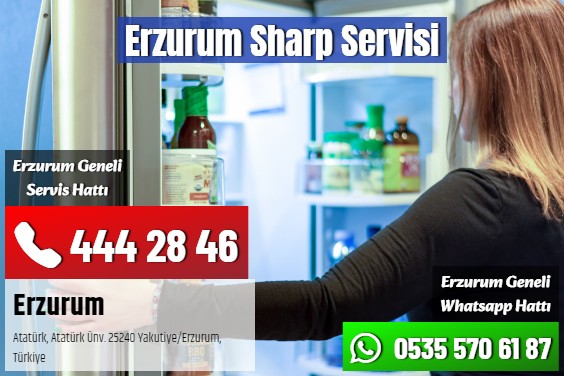 Erzurum Sharp Servisi