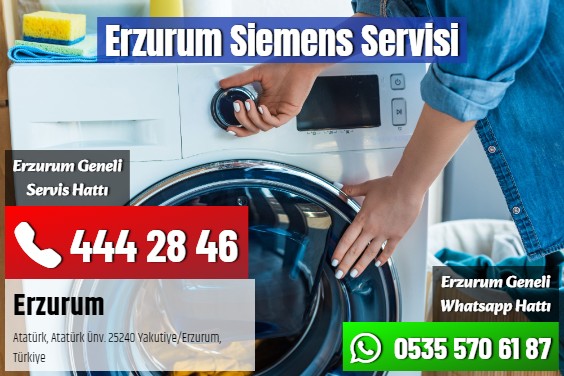 Erzurum Siemens Servisi