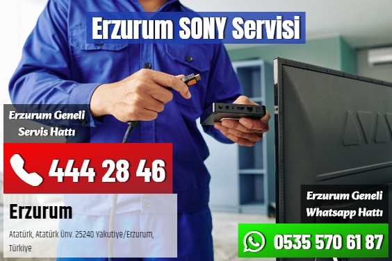 Erzurum SONY Servisi