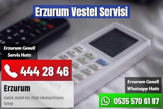 Erzurum Vestel Servisi