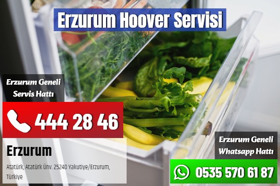Erzurum Hoover   Servisi