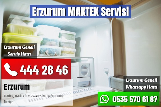 Erzurum MAKTEK Servisi
