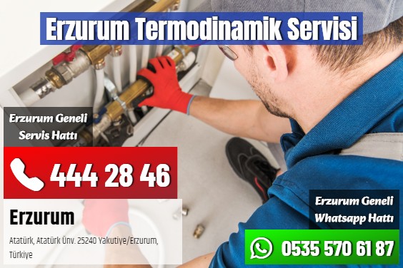 Erzurum Termodinamik Servisi