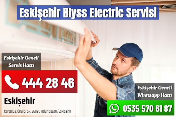 Eskişehir Blyss Electric Servisi