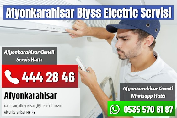 Afyonkarahisar Blyss Electric Servisi