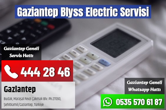 Gaziantep Blyss Electric Servisi