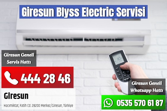 Giresun Blyss Electric Servisi
