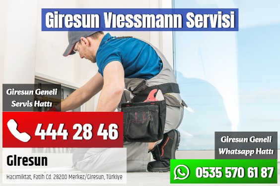 Giresun Vıessmann Servisi