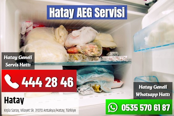 Hatay AEG Servisi