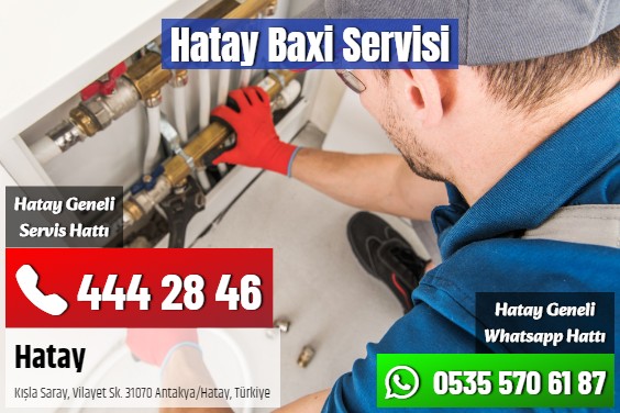 Hatay Baxi Servisi