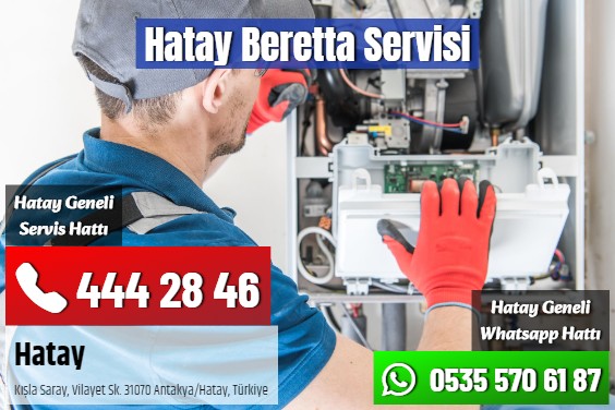 Hatay Beretta Servisi