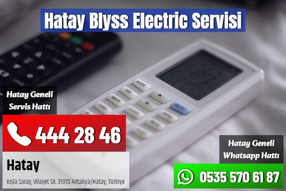 Hatay Blyss Electric Servisi