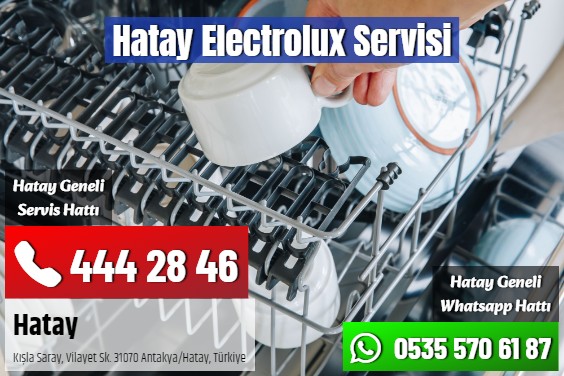Hatay Electrolux Servisi