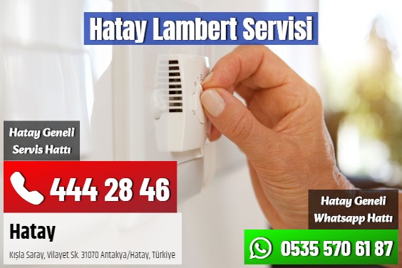 Hatay Lambert Servisi