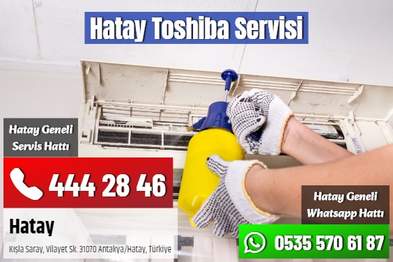Hatay Toshiba Servisi