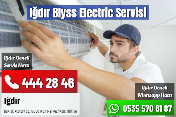 Iğdır Blyss Electric Servisi