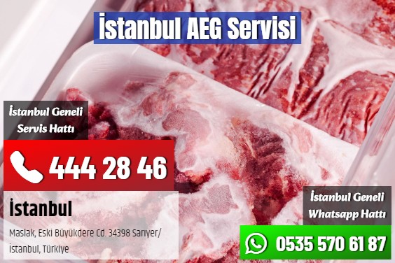 İstanbul AEG Servisi
