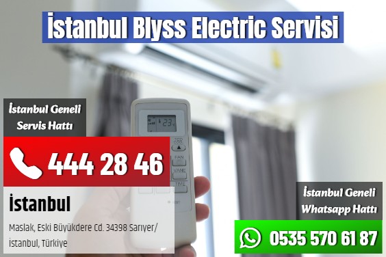 İstanbul Blyss Electric Servisi