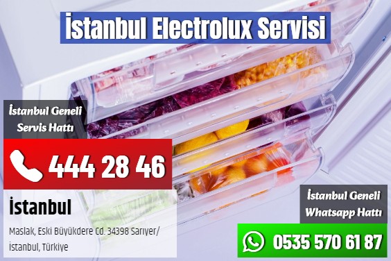 İstanbul Electrolux Servisi