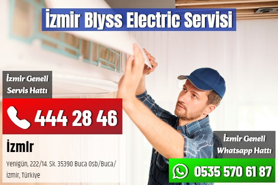 İzmir Blyss Electric Servisi