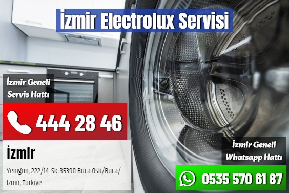 İzmir Electrolux Servisi
