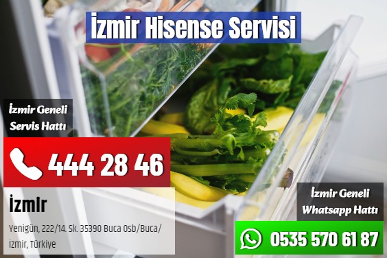 İzmir Hisense Servisi