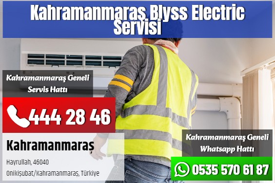 Kahramanmaraş Blyss Electric Servisi