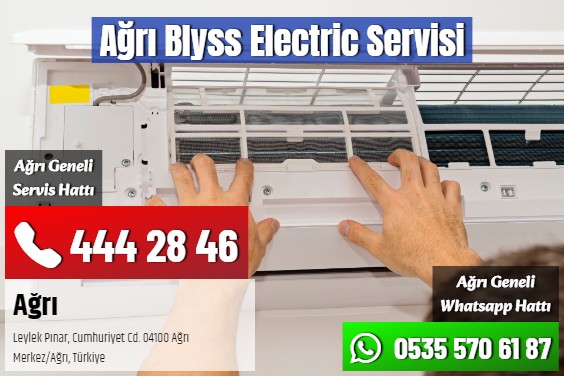 Ağrı Blyss Electric Servisi