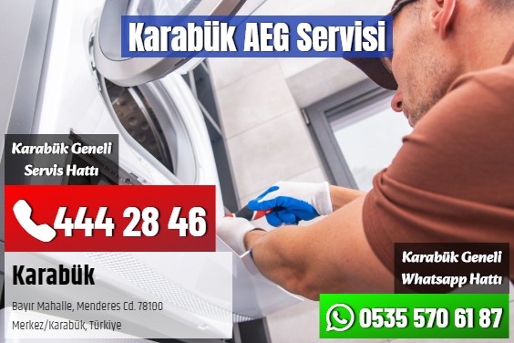 Karabük AEG Servisi