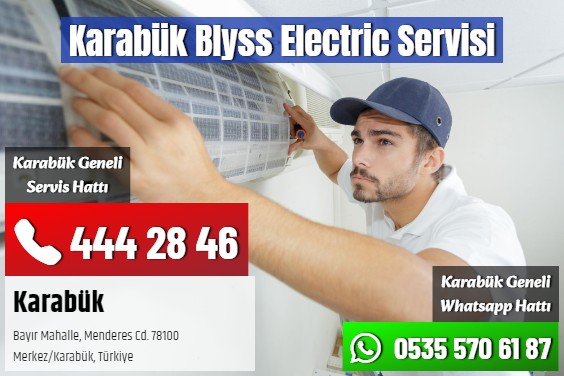 Karabük Blyss Electric Servisi