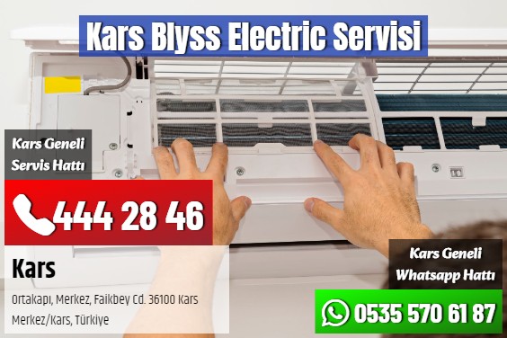 Kars Blyss Electric Servisi