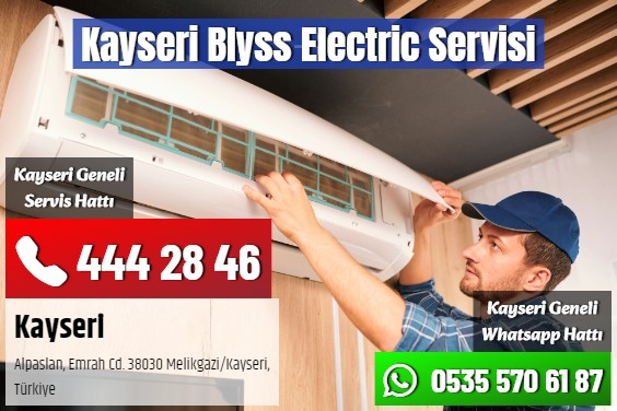 Kayseri Blyss Electric Servisi