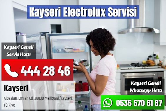 Kayseri Electrolux Servisi