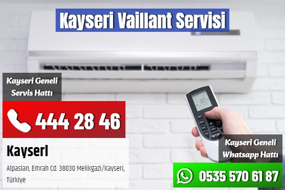 Kayseri Vaillant Servisi