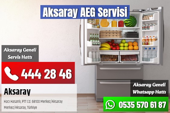 Aksaray AEG Servisi