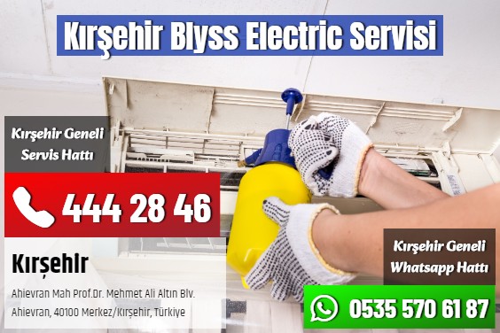 Kırşehir Blyss Electric Servisi