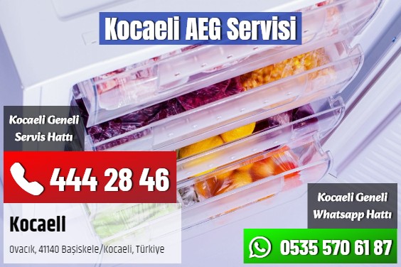 Kocaeli AEG Servisi