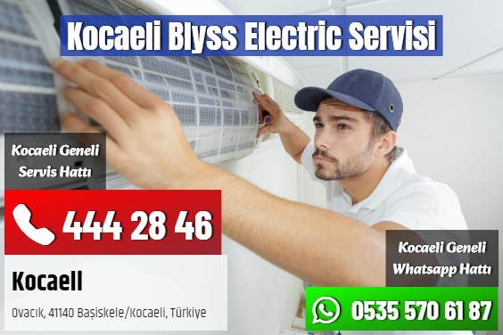 Kocaeli Blyss Electric Servisi