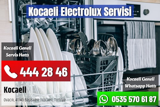 Kocaeli Electrolux Servisi
