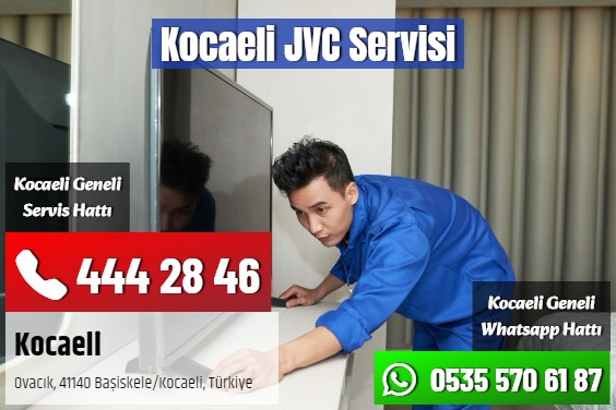 Kocaeli JVC Servisi