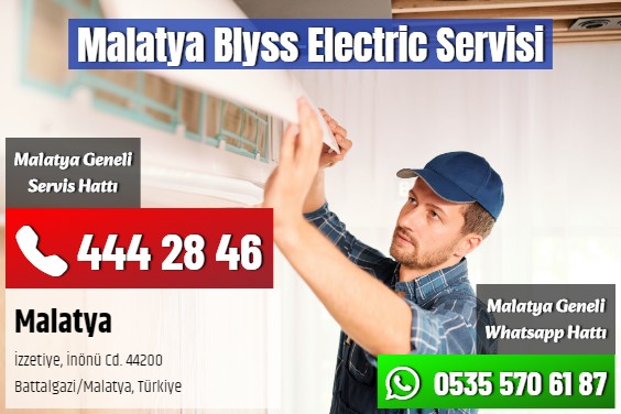 Malatya Blyss Electric Servisi
