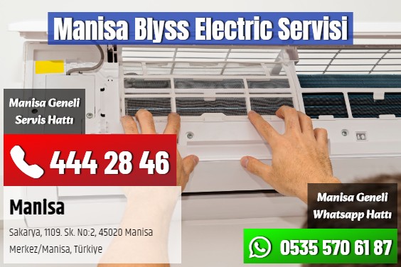 Manisa Blyss Electric Servisi