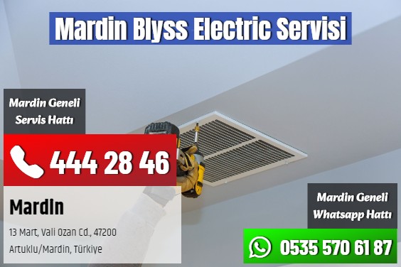 Mardin Blyss Electric Servisi