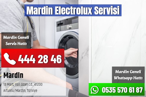 Mardin Electrolux Servisi