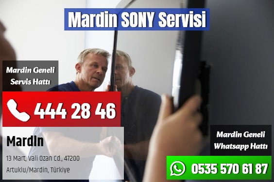Mardin SONY Servisi